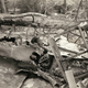 Illustration for article titled These Previously Unseen Photos Bear Witness to the Carnage of World War II